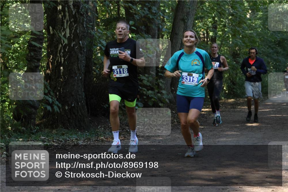 28.09.2025 - 33. Volkslauf durch das schöne Alstertal Strokosch-Dieckow http://msf.ph/oto/8969198 28.09.2025 11:23:26 Laufen 3118, 2014, 31, 3319, 3152 meine-sportfotos.de