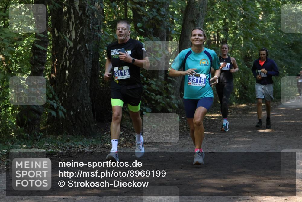 28.09.2025 - 33. Volkslauf durch das schöne Alstertal Strokosch-Dieckow http://msf.ph/oto/8969199 28.09.2025 11:23:26 Laufen 3118, 2014, 3319, 312 meine-sportfotos.de