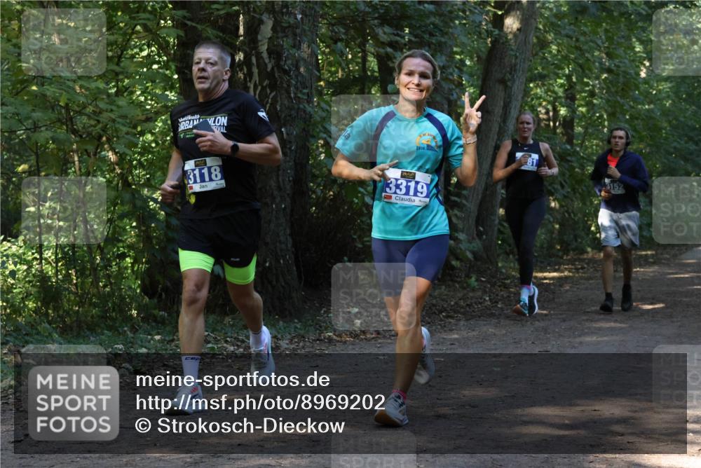 28.09.2025 - 33. Volkslauf durch das schöne Alstertal Strokosch-Dieckow http://msf.ph/oto/8969202 28.09.2025 11:23:27 Laufen 2014, 3118, 3319, 3152 meine-sportfotos.de