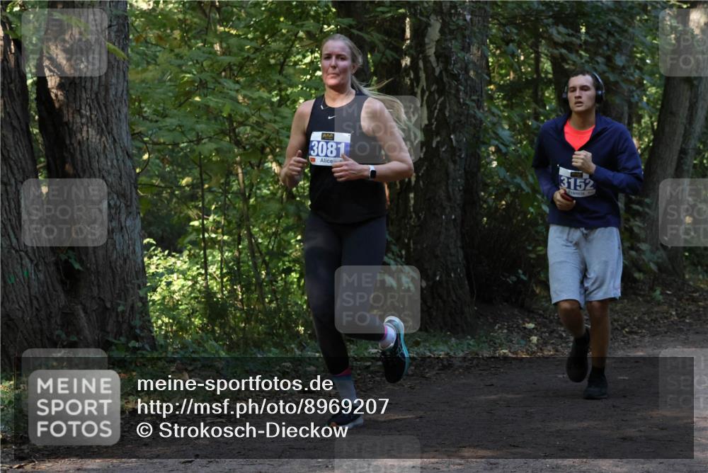 28.09.2025 - 33. Volkslauf durch das schöne Alstertal Strokosch-Dieckow http://msf.ph/oto/8969207 28.09.2025 11:23:29 Laufen 3081, 3152 meine-sportfotos.de