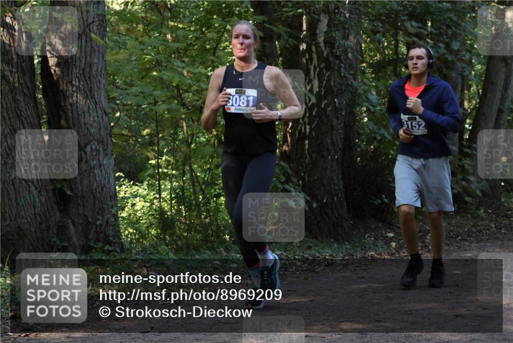 28.09.2025 - 33. Volkslauf durch das schöne Alstertal Strokosch-Dieckow http://msf.ph/oto/8969209 28.09.2025 11:23:30 Laufen 3081, 3152 meine-sportfotos.de