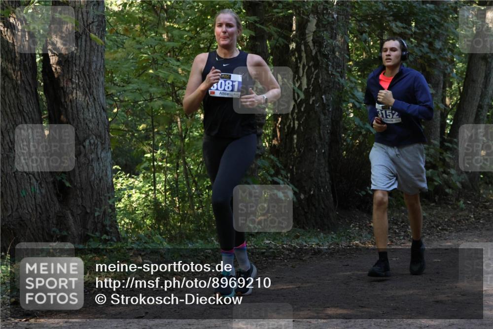 28.09.2025 - 33. Volkslauf durch das schöne Alstertal Strokosch-Dieckow http://msf.ph/oto/8969210 28.09.2025 11:23:30 Laufen 3081, 3152 meine-sportfotos.de