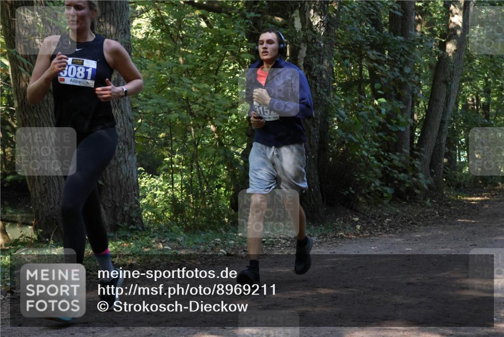 28.09.2025 - 33. Volkslauf durch das schöne Alstertal Strokosch-Dieckow http://msf.ph/oto/8969211 28.09.2025 11:23:30 Laufen 3081, 315 meine-sportfotos.de