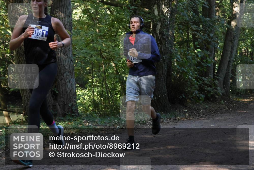 28.09.2025 - 33. Volkslauf durch das schöne Alstertal Strokosch-Dieckow http://msf.ph/oto/8969212 28.09.2025 11:23:30 Laufen 081, 315 meine-sportfotos.de