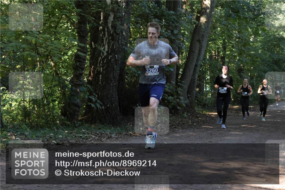 28.09.2025 - 33. Volkslauf durch das schöne Alstertal Strokosch-Dieckow http://msf.ph/oto/8969214 28.09.2025 11:23:39 Laufen 3260, 3093 meine-sportfotos.de