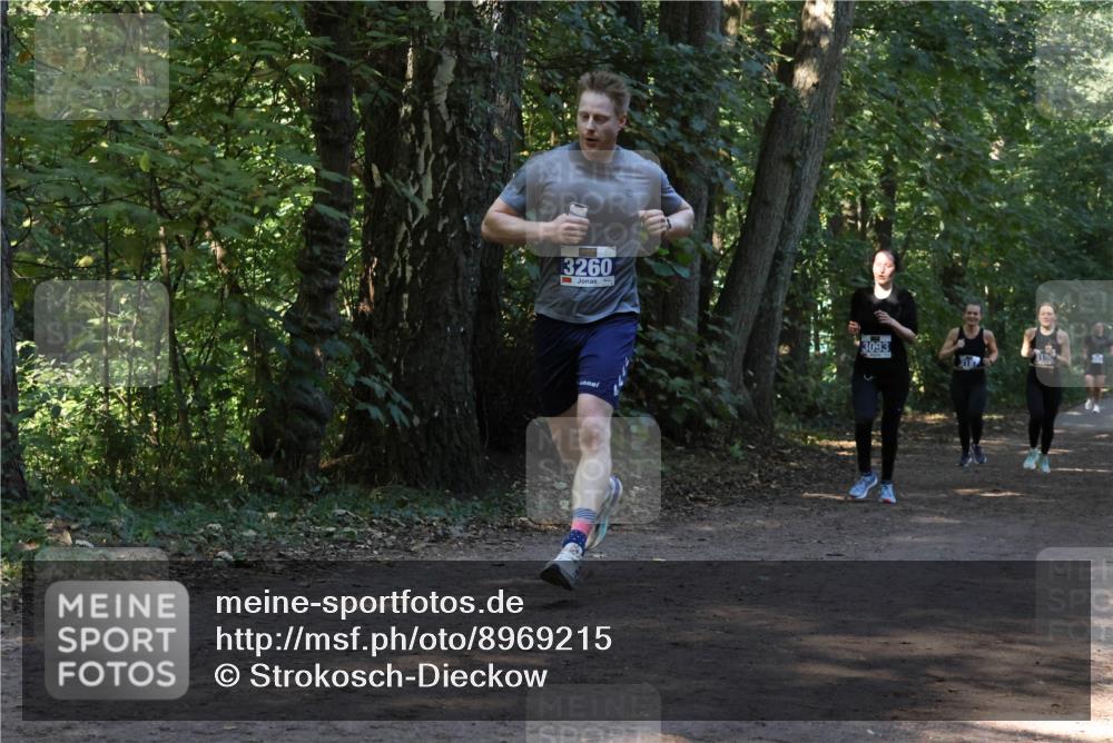 28.09.2025 - 33. Volkslauf durch das schöne Alstertal Strokosch-Dieckow http://msf.ph/oto/8969215 28.09.2025 11:23:39 Laufen 3260, 3093 meine-sportfotos.de