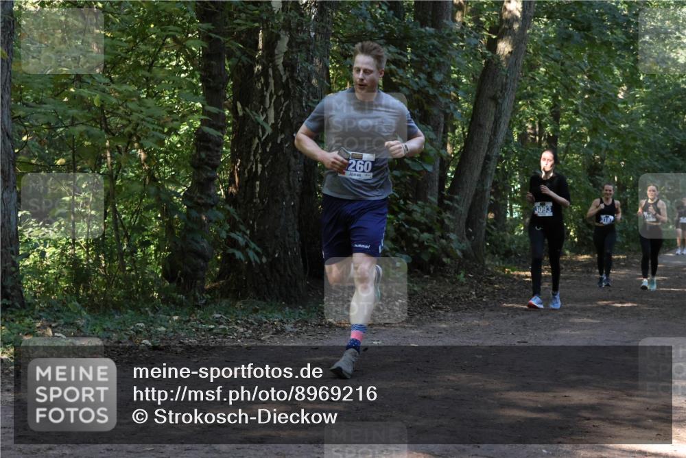 28.09.2025 - 33. Volkslauf durch das schöne Alstertal Strokosch-Dieckow http://msf.ph/oto/8969216 28.09.2025 11:23:39 Laufen 260, 3093, 3187 meine-sportfotos.de