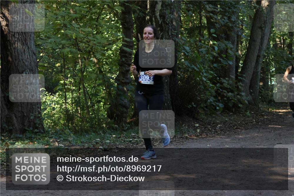 28.09.2025 - 33. Volkslauf durch das schöne Alstertal Strokosch-Dieckow http://msf.ph/oto/8969217 28.09.2025 11:23:42 Laufen 3093 meine-sportfotos.de