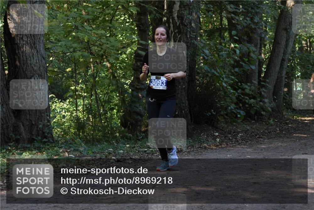 28.09.2025 - 33. Volkslauf durch das schöne Alstertal Strokosch-Dieckow http://msf.ph/oto/8969218 28.09.2025 11:23:42 Laufen 13093 meine-sportfotos.de
