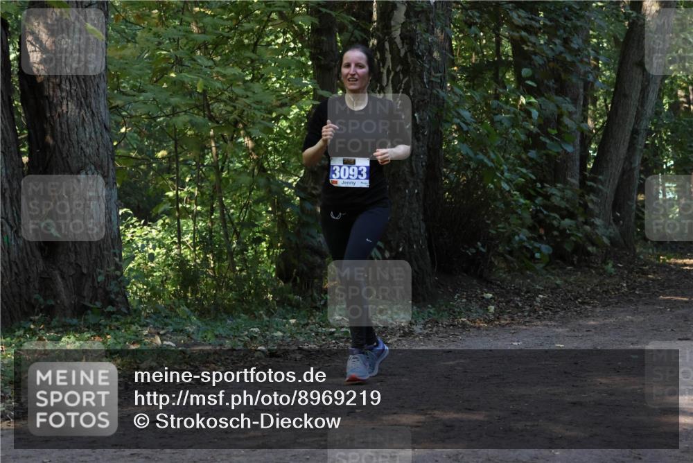 28.09.2025 - 33. Volkslauf durch das schöne Alstertal Strokosch-Dieckow http://msf.ph/oto/8969219 28.09.2025 11:23:42 Laufen 3093 meine-sportfotos.de