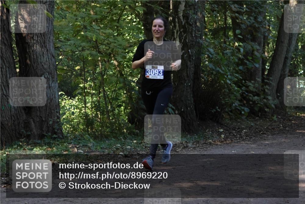 28.09.2025 - 33. Volkslauf durch das schöne Alstertal Strokosch-Dieckow http://msf.ph/oto/8969220 28.09.2025 11:23:42 Laufen 3093 meine-sportfotos.de