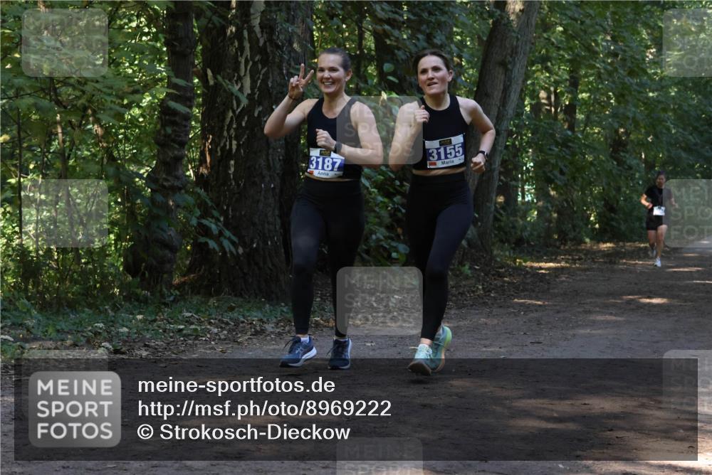 28.09.2025 - 33. Volkslauf durch das schöne Alstertal Strokosch-Dieckow http://msf.ph/oto/8969222 28.09.2025 11:23:44 Laufen 3187, 3155 meine-sportfotos.de