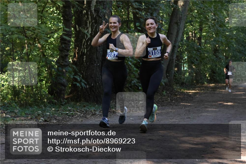 28.09.2025 - 33. Volkslauf durch das schöne Alstertal Strokosch-Dieckow http://msf.ph/oto/8969223 28.09.2025 11:23:45 Laufen 3187, 3155 meine-sportfotos.de