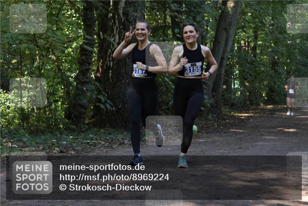 28.09.2025 - 33. Volkslauf durch das schöne Alstertal Strokosch-Dieckow http://msf.ph/oto/8969224 28.09.2025 11:23:45 Laufen 318, 3155 meine-sportfotos.de