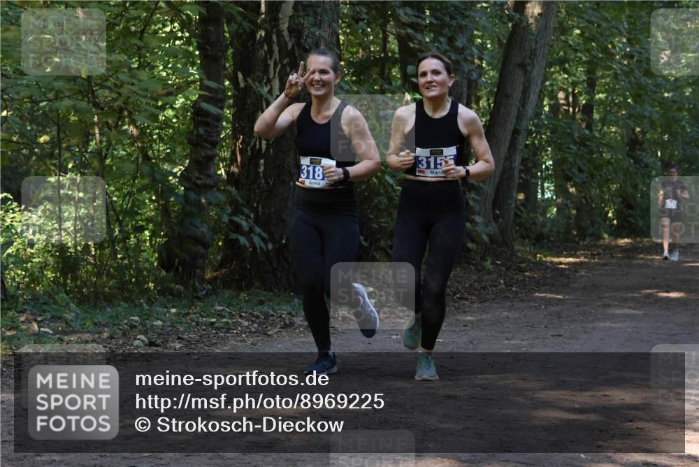 28.09.2025 - 33. Volkslauf durch das schöne Alstertal Strokosch-Dieckow http://msf.ph/oto/8969225 28.09.2025 11:23:45 Laufen 318, 3155 meine-sportfotos.de