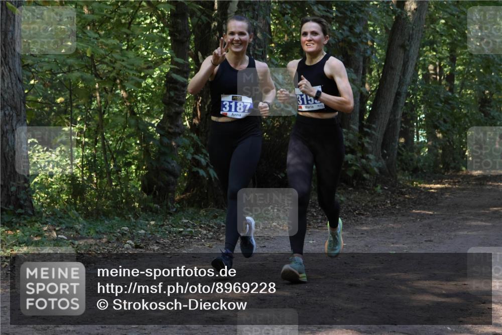 28.09.2025 - 33. Volkslauf durch das schöne Alstertal Strokosch-Dieckow http://msf.ph/oto/8969228 28.09.2025 11:23:45 Laufen 3187, 315 meine-sportfotos.de