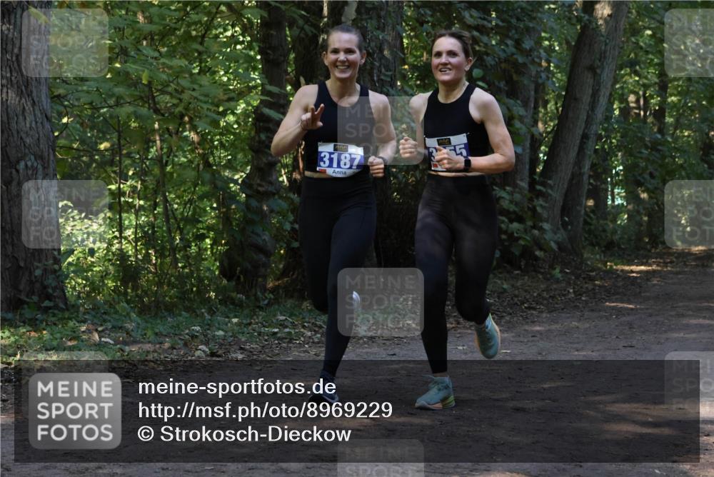 28.09.2025 - 33. Volkslauf durch das schöne Alstertal Strokosch-Dieckow http://msf.ph/oto/8969229 28.09.2025 11:23:45 Laufen 3187 meine-sportfotos.de