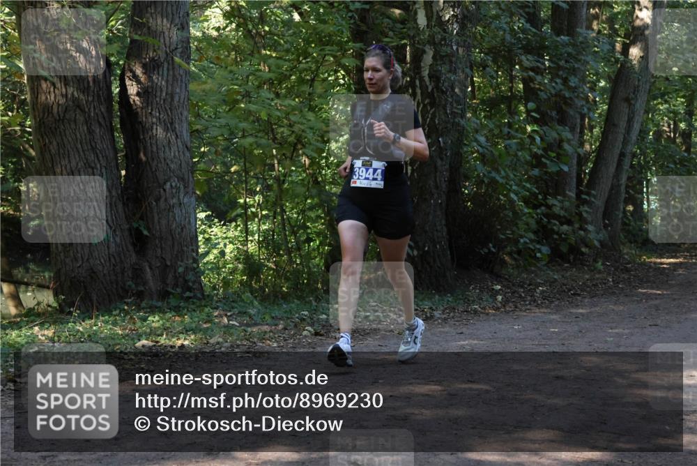 28.09.2025 - 33. Volkslauf durch das schöne Alstertal Strokosch-Dieckow http://msf.ph/oto/8969230 28.09.2025 11:23:54 Laufen 3944 meine-sportfotos.de
