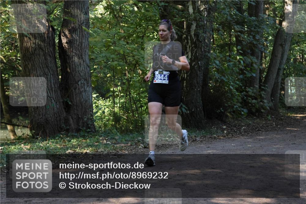 28.09.2025 - 33. Volkslauf durch das schöne Alstertal Strokosch-Dieckow http://msf.ph/oto/8969232 28.09.2025 11:23:54 Laufen 3944 meine-sportfotos.de