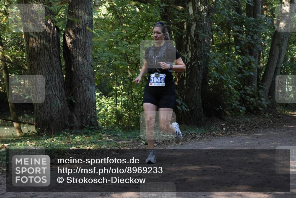 28.09.2025 - 33. Volkslauf durch das schöne Alstertal Strokosch-Dieckow http://msf.ph/oto/8969233 28.09.2025 11:23:54 Laufen 3944 meine-sportfotos.de