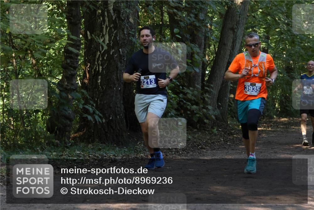 28.09.2025 - 33. Volkslauf durch das schöne Alstertal Strokosch-Dieckow http://msf.ph/oto/8969236 28.09.2025 11:24:05 Laufen 3213, 3935, 3298 meine-sportfotos.de