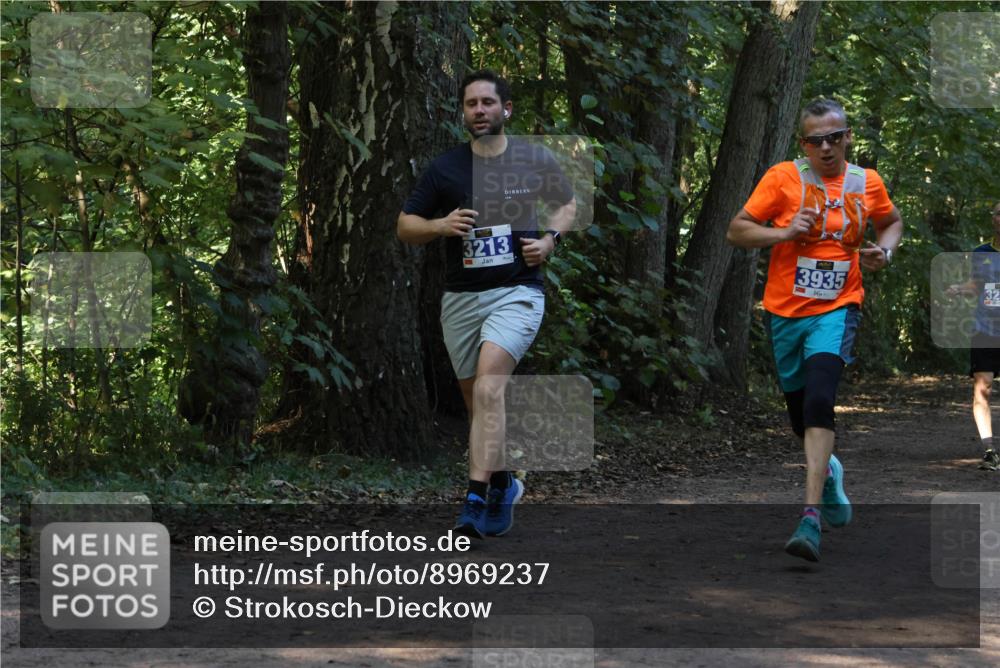 28.09.2025 - 33. Volkslauf durch das schöne Alstertal Strokosch-Dieckow http://msf.ph/oto/8969237 28.09.2025 11:24:05 Laufen 3213, 3935 meine-sportfotos.de