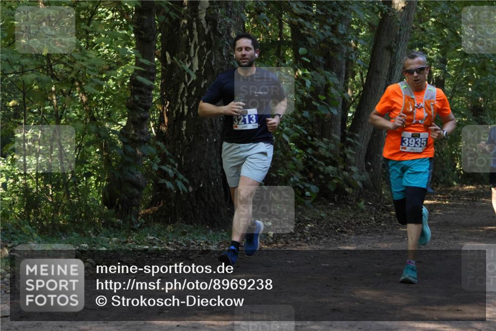 28.09.2025 - 33. Volkslauf durch das schöne Alstertal Strokosch-Dieckow http://msf.ph/oto/8969238 28.09.2025 11:24:06 Laufen 3213, 3935 meine-sportfotos.de