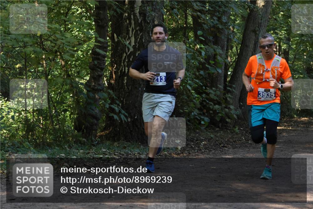 28.09.2025 - 33. Volkslauf durch das schöne Alstertal Strokosch-Dieckow http://msf.ph/oto/8969239 28.09.2025 11:24:06 Laufen 213, 3935 meine-sportfotos.de