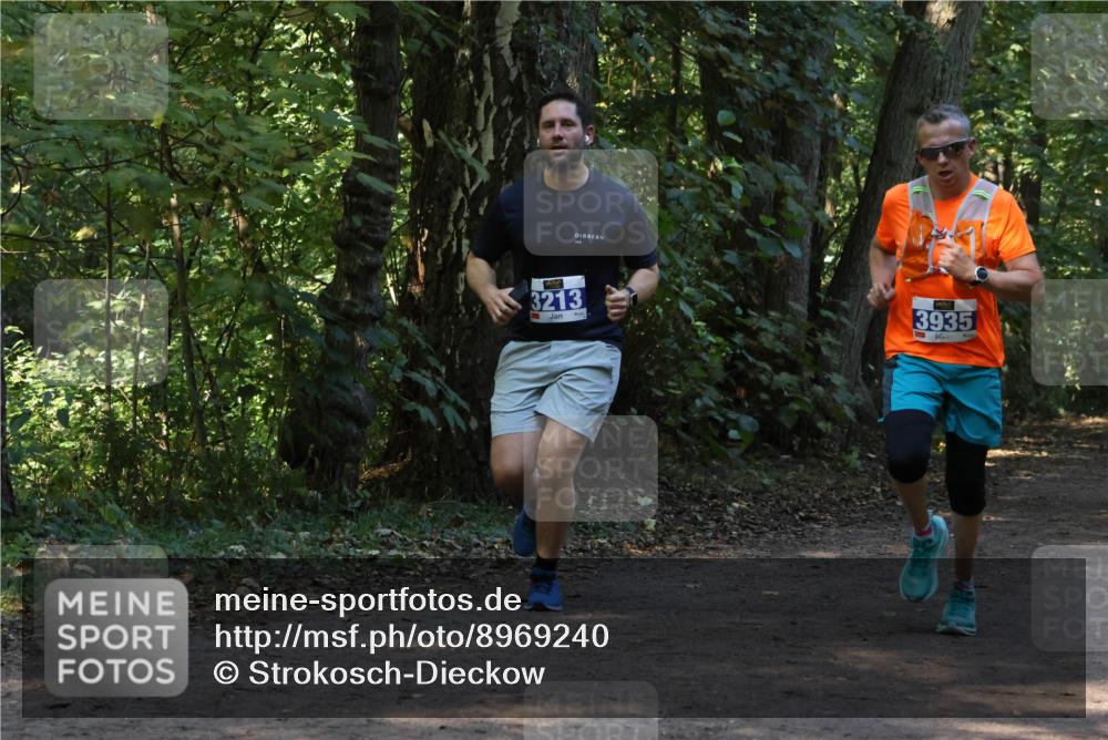 28.09.2025 - 33. Volkslauf durch das schöne Alstertal Strokosch-Dieckow http://msf.ph/oto/8969240 28.09.2025 11:24:06 Laufen 3213, 3935 meine-sportfotos.de