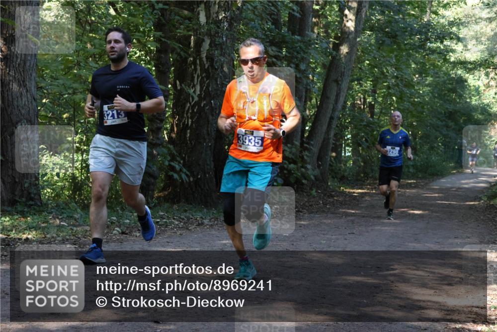28.09.2025 - 33. Volkslauf durch das schöne Alstertal Strokosch-Dieckow http://msf.ph/oto/8969241 28.09.2025 11:24:07 Laufen 3213, 3935, 3298 meine-sportfotos.de