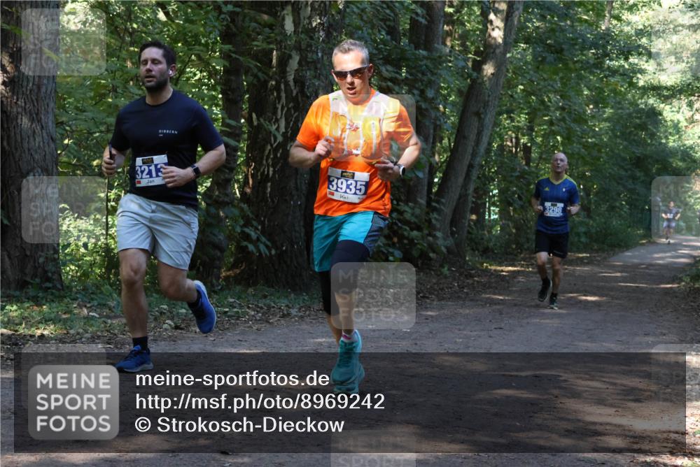 28.09.2025 - 33. Volkslauf durch das schöne Alstertal Strokosch-Dieckow http://msf.ph/oto/8969242 28.09.2025 11:24:07 Laufen 3213, 3935, 3298 meine-sportfotos.de