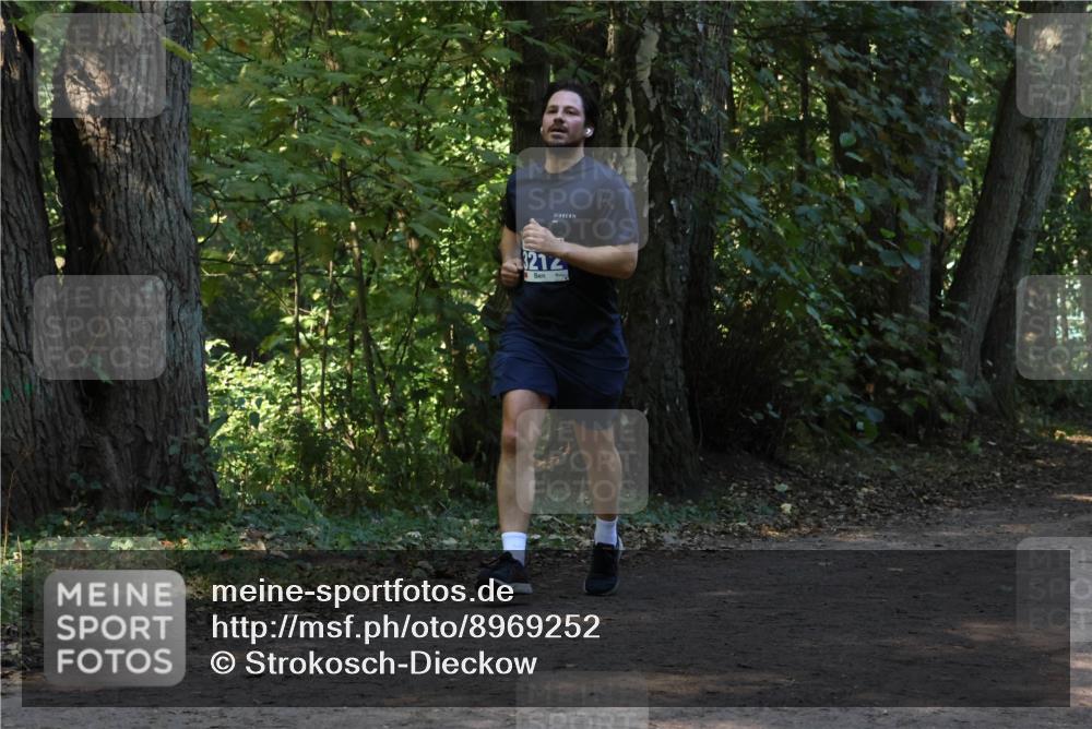 28.09.2025 - 33. Volkslauf durch das schöne Alstertal Strokosch-Dieckow http://msf.ph/oto/8969252 28.09.2025 11:24:25 Laufen 3212 meine-sportfotos.de