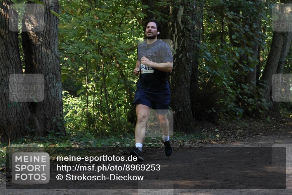 28.09.2025 - 33. Volkslauf durch das schöne Alstertal Strokosch-Dieckow http://msf.ph/oto/8969253 28.09.2025 11:24:25 Laufen 321 meine-sportfotos.de