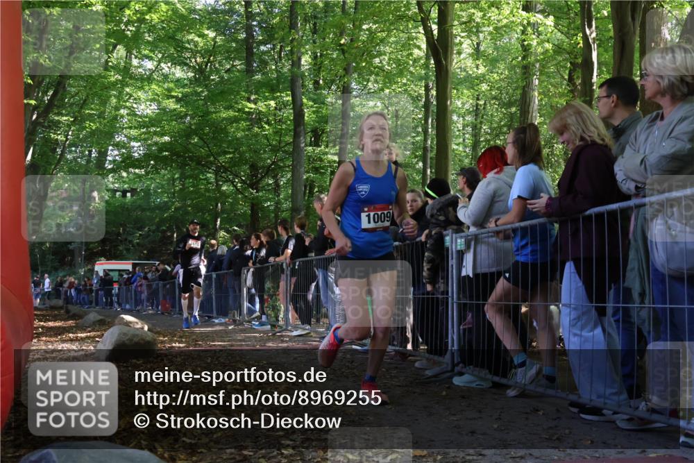 28.09.2025 - 33. Volkslauf durch das schöne Alstertal Strokosch-Dieckow http://msf.ph/oto/8969255 28.09.2025 11:49:35 Ziel 1009, 1599, 1616 meine-sportfotos.de
