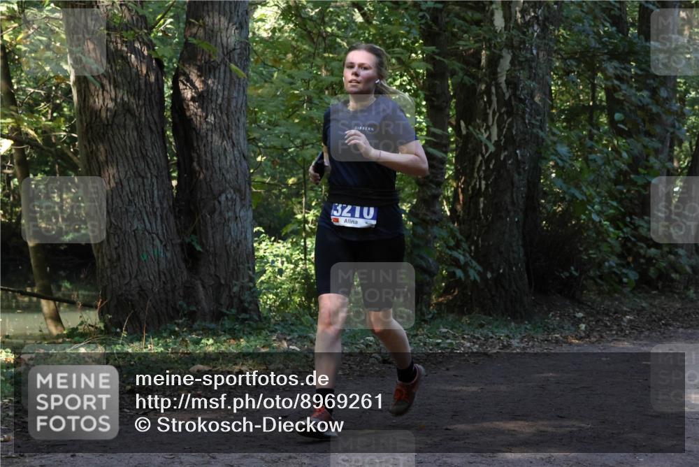 28.09.2025 - 33. Volkslauf durch das schöne Alstertal Strokosch-Dieckow http://msf.ph/oto/8969261 28.09.2025 11:24:30 Laufen 3210 meine-sportfotos.de