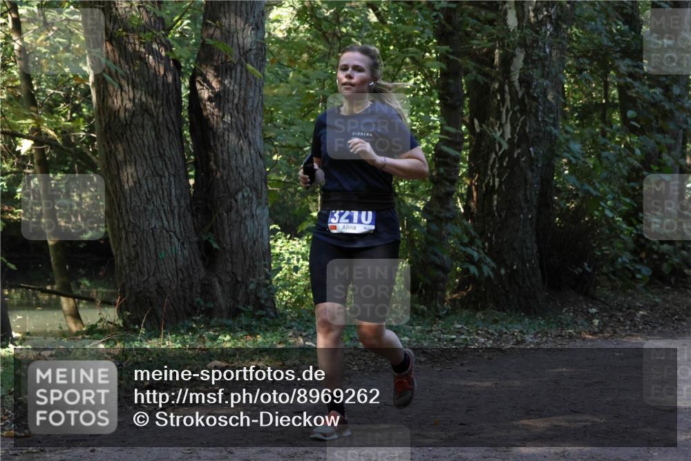 28.09.2025 - 33. Volkslauf durch das schöne Alstertal Strokosch-Dieckow http://msf.ph/oto/8969262 28.09.2025 11:24:30 Laufen 3210 meine-sportfotos.de