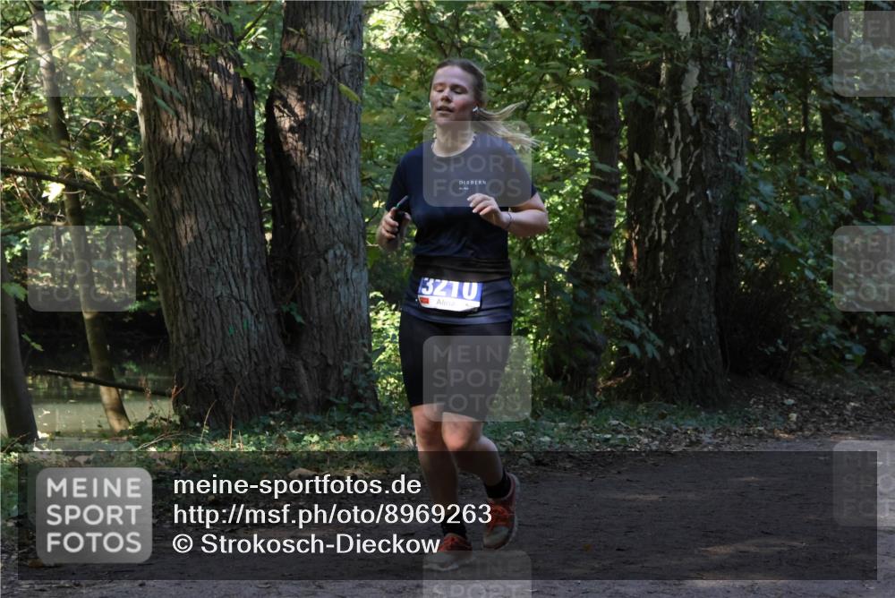 28.09.2025 - 33. Volkslauf durch das schöne Alstertal Strokosch-Dieckow http://msf.ph/oto/8969263 28.09.2025 11:24:30 Laufen 3210 meine-sportfotos.de