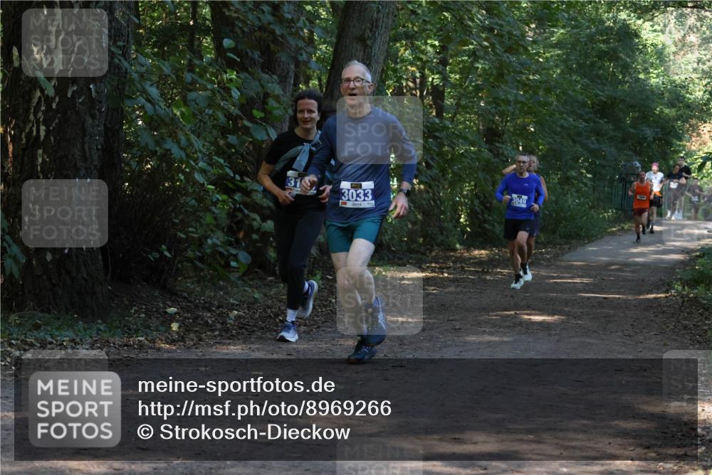 28.09.2025 - 33. Volkslauf durch das schöne Alstertal Strokosch-Dieckow http://msf.ph/oto/8969266 28.09.2025 11:24:45 Laufen 31, 3033, 3049 meine-sportfotos.de