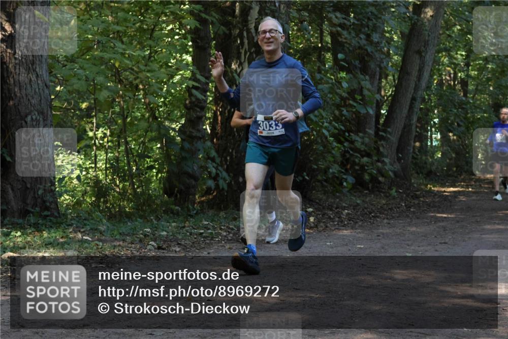 28.09.2025 - 33. Volkslauf durch das schöne Alstertal Strokosch-Dieckow http://msf.ph/oto/8969272 28.09.2025 11:24:46 Laufen 3033 meine-sportfotos.de