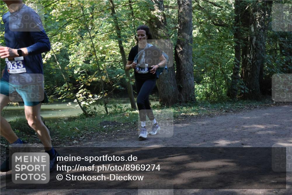 28.09.2025 - 33. Volkslauf durch das schöne Alstertal Strokosch-Dieckow http://msf.ph/oto/8969274 28.09.2025 11:24:48 Laufen 3033, 36 meine-sportfotos.de