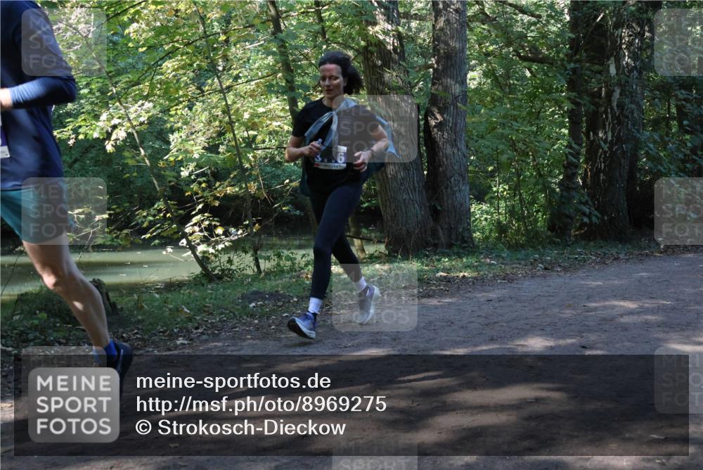 28.09.2025 - 33. Volkslauf durch das schöne Alstertal Strokosch-Dieckow http://msf.ph/oto/8969275 28.09.2025 11:24:48 Laufen 3, 6 meine-sportfotos.de
