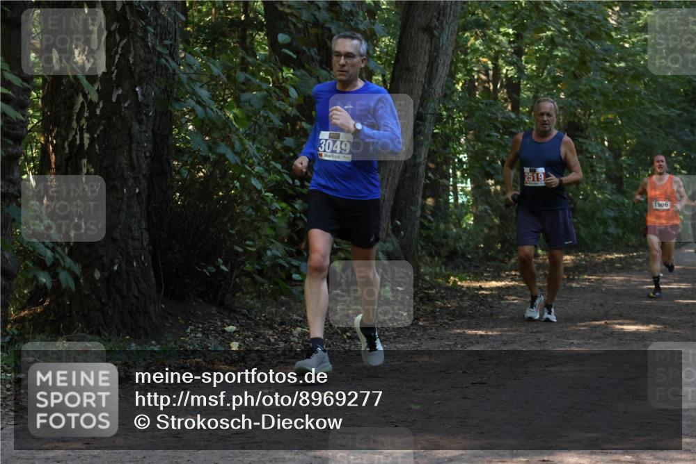 28.09.2025 - 33. Volkslauf durch das schöne Alstertal Strokosch-Dieckow http://msf.ph/oto/8969277 28.09.2025 11:24:51 Laufen 3049, 2519, 1506 meine-sportfotos.de