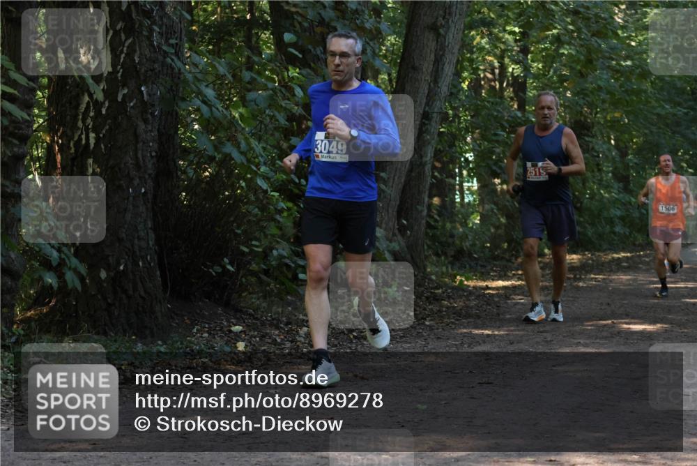 28.09.2025 - 33. Volkslauf durch das schöne Alstertal Strokosch-Dieckow http://msf.ph/oto/8969278 28.09.2025 11:24:51 Laufen 3049, 2515, 1506 meine-sportfotos.de