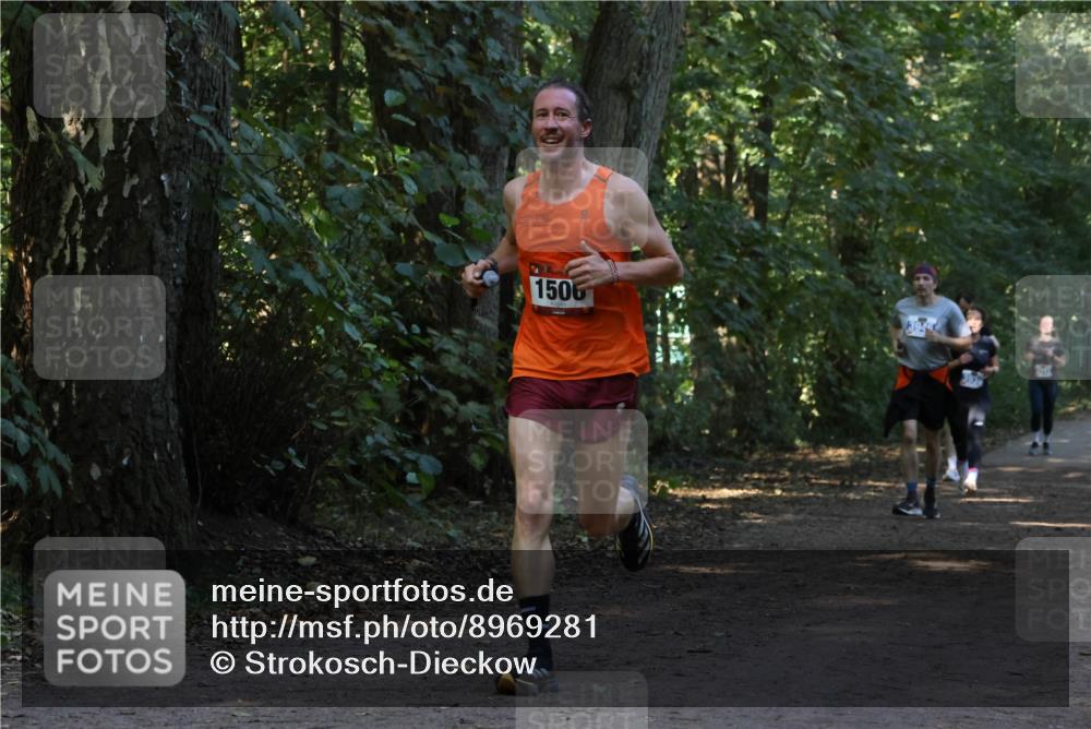 28.09.2025 - 33. Volkslauf durch das schöne Alstertal Strokosch-Dieckow http://msf.ph/oto/8969281 28.09.2025 11:24:56 Laufen 1506 meine-sportfotos.de
