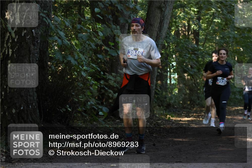28.09.2025 - 33. Volkslauf durch das schöne Alstertal Strokosch-Dieckow http://msf.ph/oto/8969283 28.09.2025 11:25:01 Laufen 3946, 3936 meine-sportfotos.de