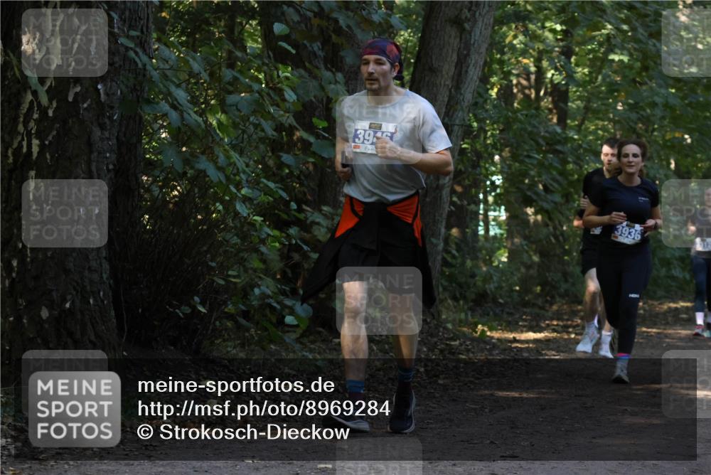 28.09.2025 - 33. Volkslauf durch das schöne Alstertal Strokosch-Dieckow http://msf.ph/oto/8969284 28.09.2025 11:25:01 Laufen 39, 3936, 3812 meine-sportfotos.de