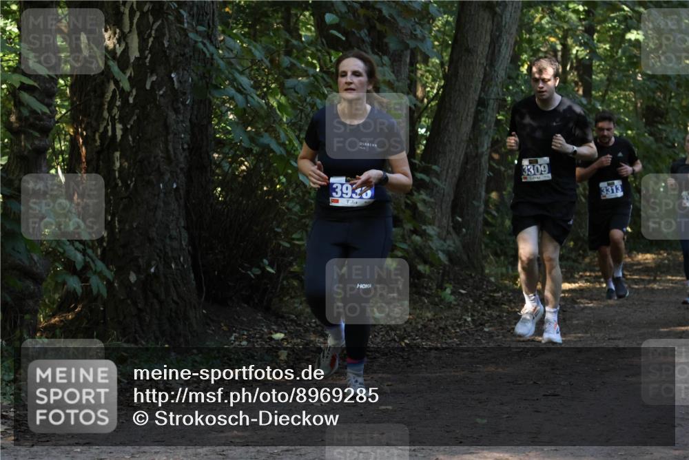 28.09.2025 - 33. Volkslauf durch das schöne Alstertal Strokosch-Dieckow http://msf.ph/oto/8969285 28.09.2025 11:25:04 Laufen 393, 3309, 3313 meine-sportfotos.de