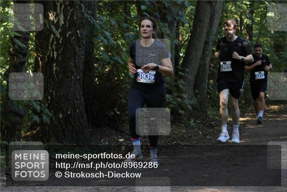 28.09.2025 - 33. Volkslauf durch das schöne Alstertal Strokosch-Dieckow http://msf.ph/oto/8969286 28.09.2025 11:25:04 Laufen 3936, 3309, 3313 meine-sportfotos.de