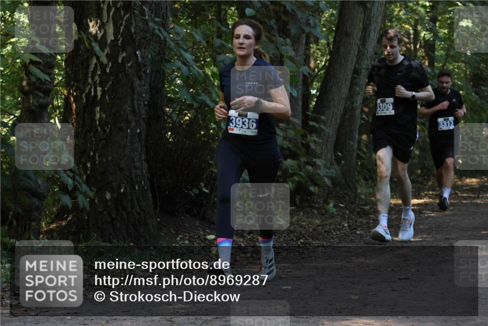 28.09.2025 - 33. Volkslauf durch das schöne Alstertal Strokosch-Dieckow http://msf.ph/oto/8969287 28.09.2025 11:25:04 Laufen 3936, 3309, 3313, 22 meine-sportfotos.de