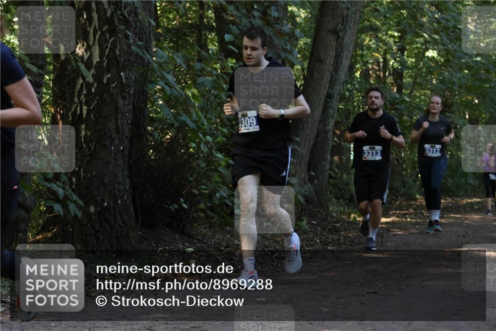28.09.2025 - 33. Volkslauf durch das schöne Alstertal Strokosch-Dieckow http://msf.ph/oto/8969288 28.09.2025 11:25:05 Laufen 3309, 22, 3313, 3312 meine-sportfotos.de